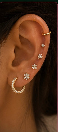 Earings